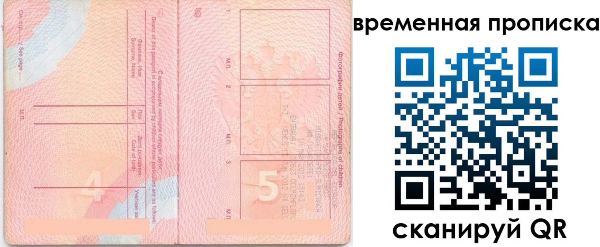 прописка для школы в Щёкино